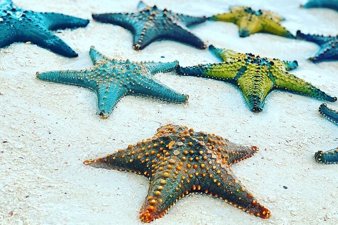 Starfish Adventure; The Rock Restaurant; Kuza Cave, Salaam Cave - Kuza Cave, swimming, and Swahili culture