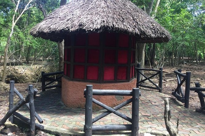Stone Town and Prison Island Private Tour in Zanzibar - Giant tortoises, nursery, and old ruins