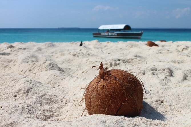 Stone Town and Prison Island Tour (Full Day) - Is $70.47 good value?