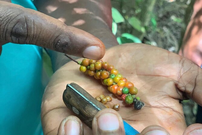STONE TOWN and SPICE FARM TOUR ( Lunch Included ) - What the Guides Do Best
