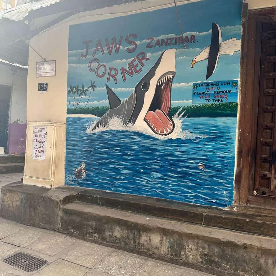 Stone Town Guided Tour: Culture, Slave Market & Spice Market - Why Stone Town makes a good first Zanzibar tour