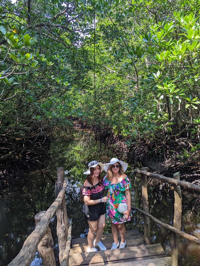Stone Town: Jozani Chwaka Bay National Park Half-Day Tour - The mangrove boardwalk adds variety