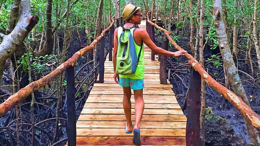 Stone Town: Jozani Chwaka Bay National Park Half-Day Tour - Leaving Stone Town for the park