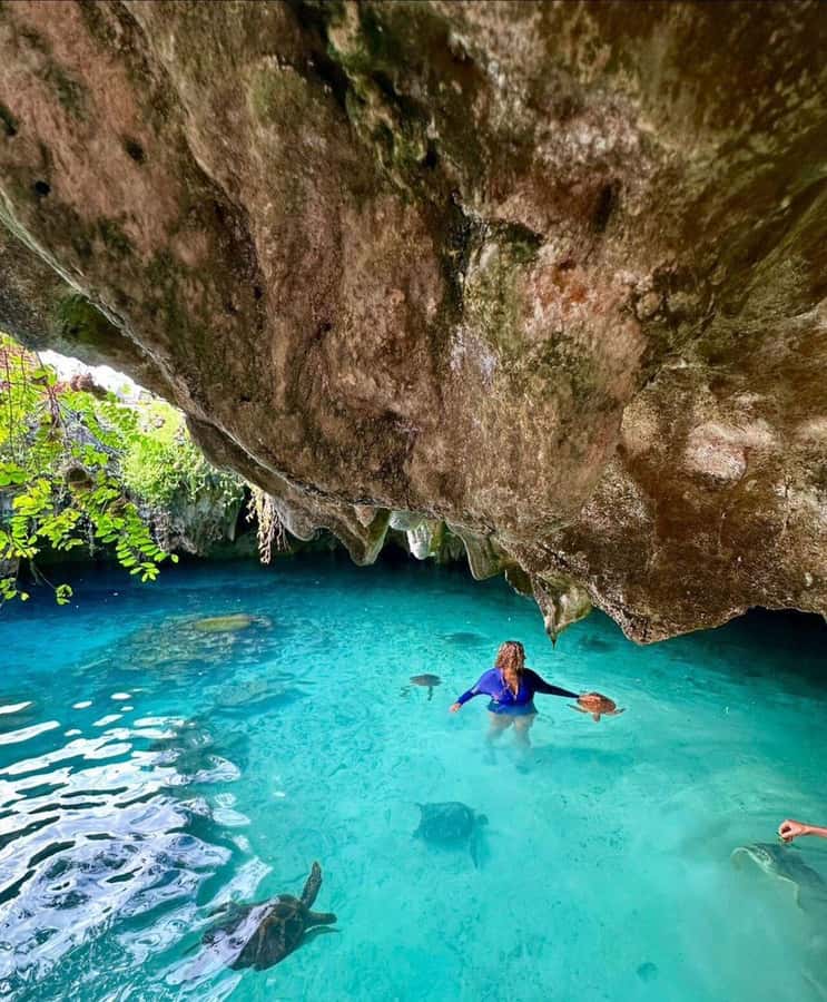 Stone Town, Jozani Forest, Sea Turtles & The Rock Restaurant - What to bring for a smoother day