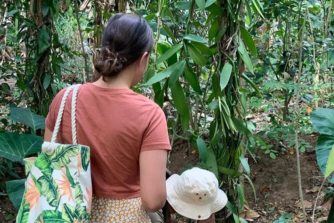 STONE TOWN, PRISON ISLAND AND SPICE FARM ( Lunch included ) - Who should book this experience?
