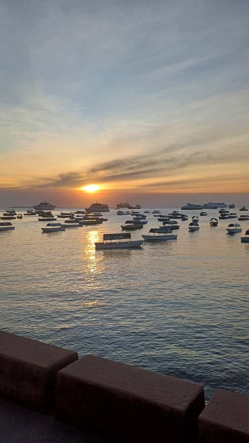 Stone Town Private Guided Walking Tour - What the guide adds to the experience
