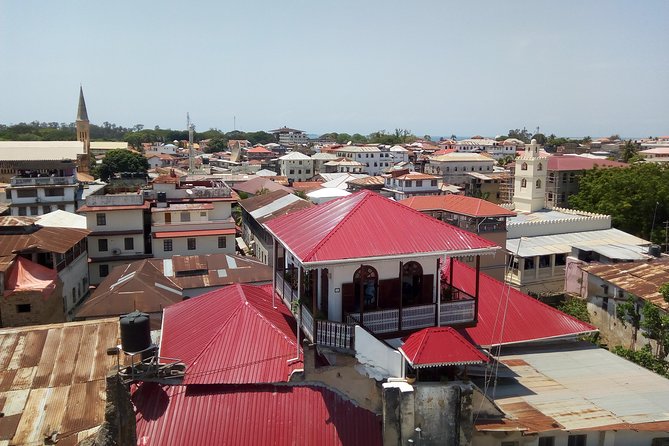 Stone Town Private Walking Tour - Darajani Market and the Everyday City