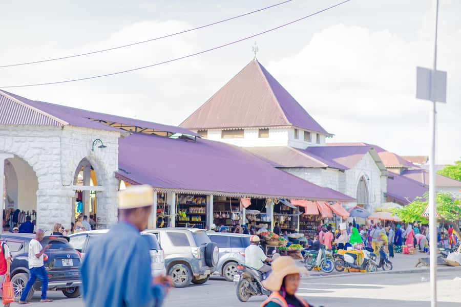 Stone Town's Hidden History: Private Guided Walking Tour - Darajani Bazaar, Stella Market, and daily shopping