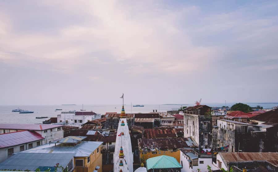 Stone Town's Hidden History: Private Guided Walking Tour - Meeting at the Old Fort near Forodhani Gardens