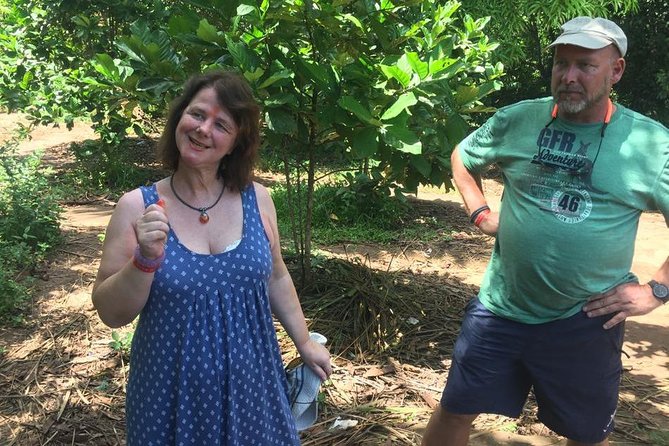Stone Town, Spice Farm and Jozani Forest Private Tour - The mangrove boardwalk adds a coastal lesson