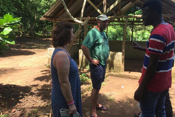 Stone Town, Spice Farm and Jozani Forest Private Tour - Private transport and the value of a flexible schedule