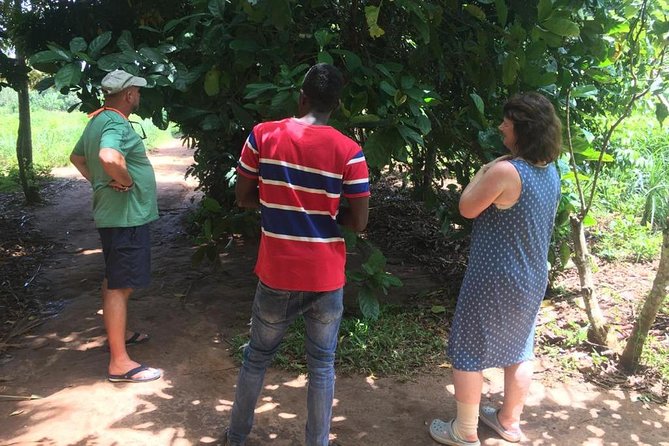 Stone Town, Spice Farm and Jozani Forest Private Tour - Language, guides, and what to confirm before you go