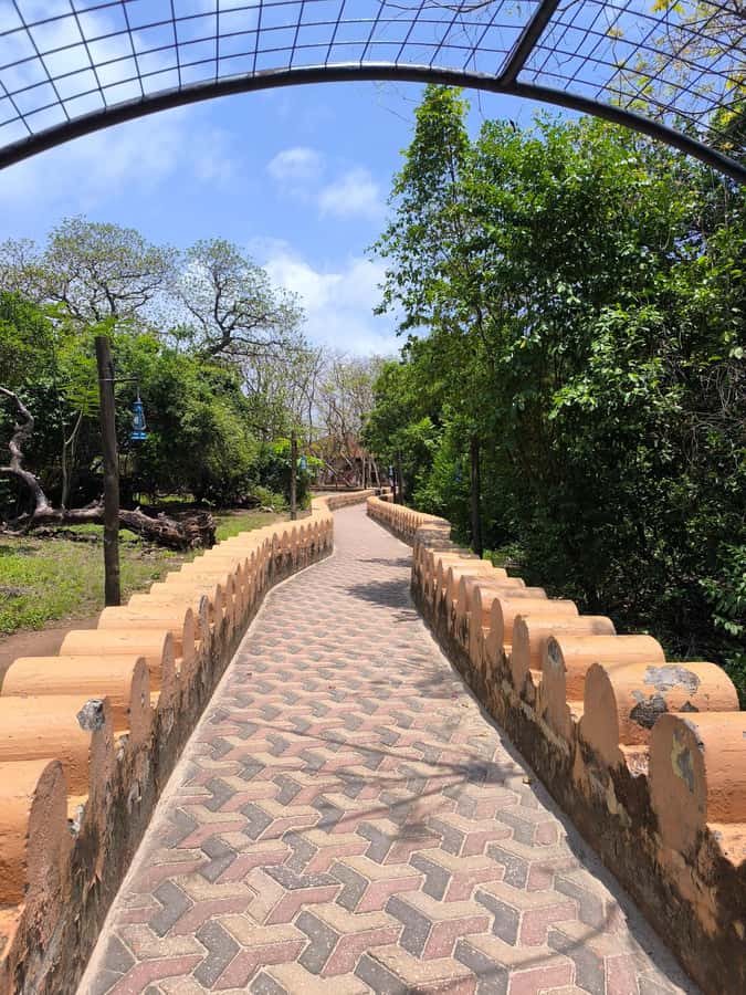 Stone town tour, Prison island and Nakupenda Sandbank - Key points to know before booking