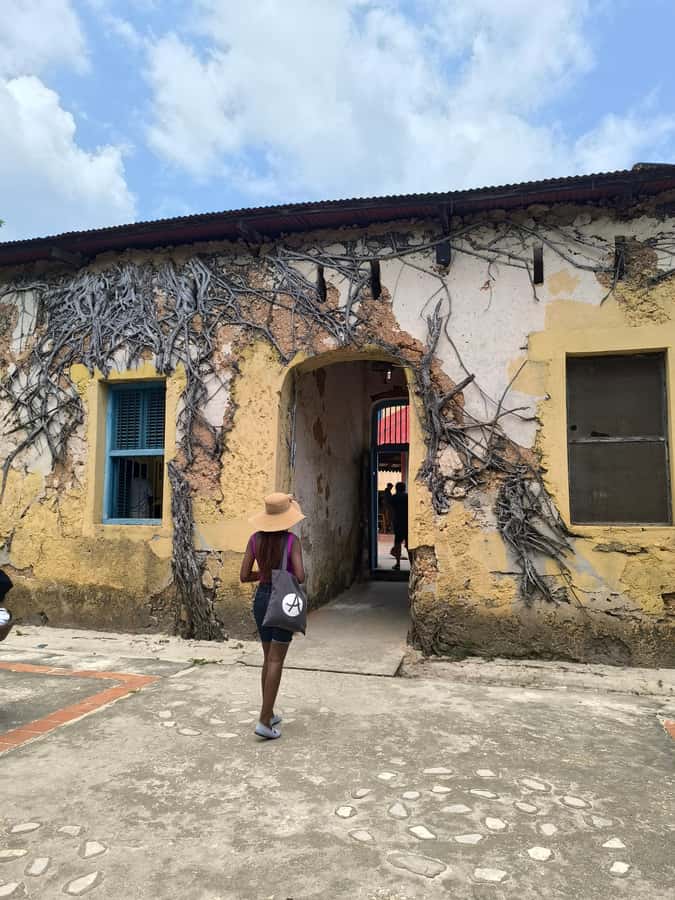 Stone town tour, Prison island and Nakupenda Sandbank - Nakupenda Sandbank: three hours on shifting white sand
