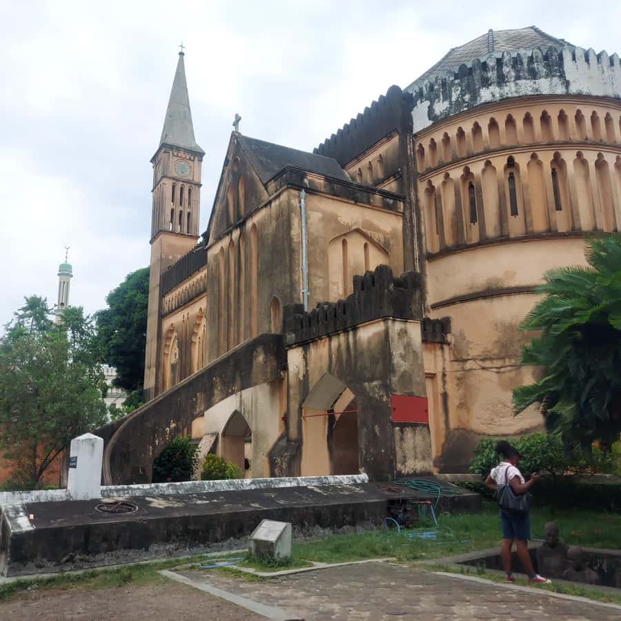 Stone town walking tour ( City tour) - Darajani Market and local shopping