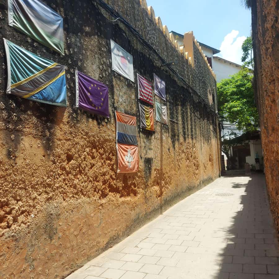 Stone town walking tour ( City tour) - The Old Fort and Stone Town’s strong walls