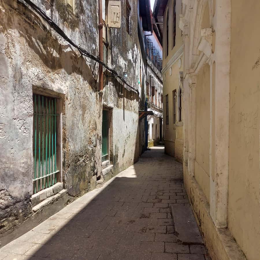 Stone town walking tour ( City tour) - Meeting at Forodhani Park