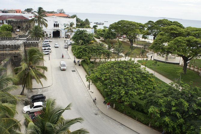 Stone Town Walking Tour in Zanzibar - Is $45 a fair price?