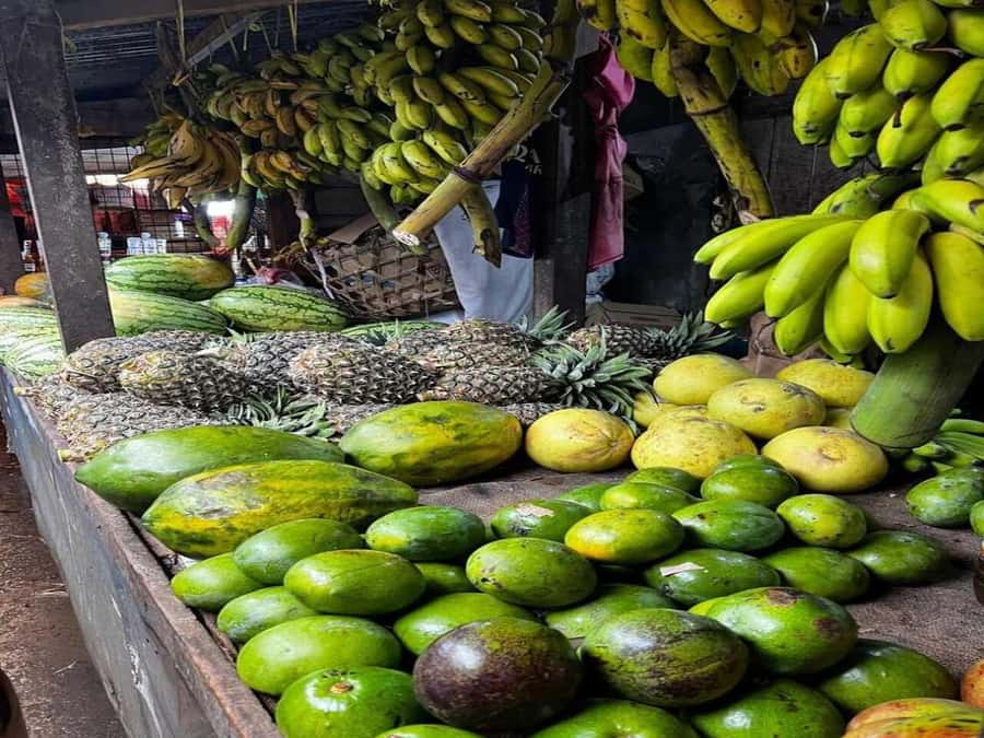 Stone Town Walking Tour with Female Guides - Forodhani Gardens and the evening food scene