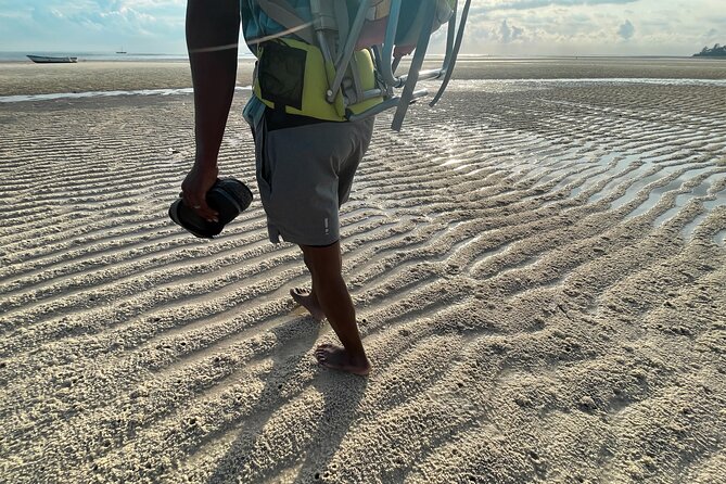 Sunrise Beach Walk with Picnic Breakfast Activity - Breakfast with the sand nearby