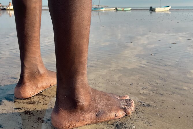 Sunrise Beach Walk with Picnic Breakfast Activity - What the $40 price really covers
