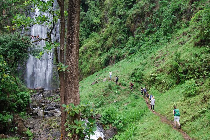 Swim to Materuni and Kikuletwa Hotspring - Key details before you book