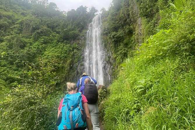 Swim to Materuni and Kikuletwa Hotspring - The guide can shape the whole experience