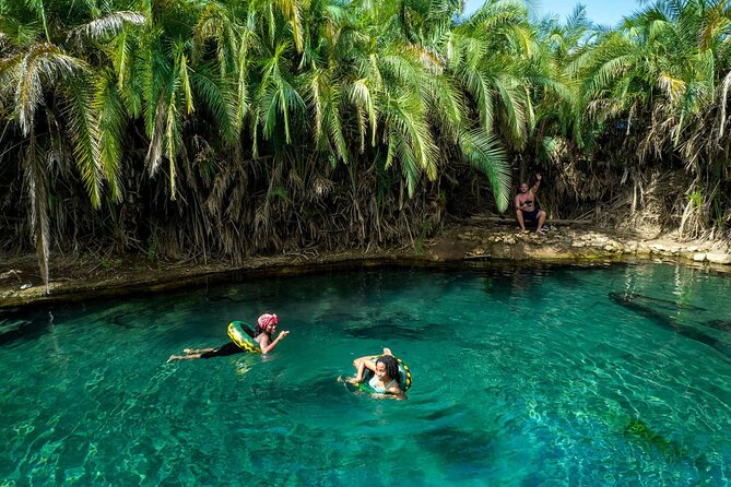 Swim to Materuni and Kikuletwa Hotspring - Meeting the Chagga community over coffee