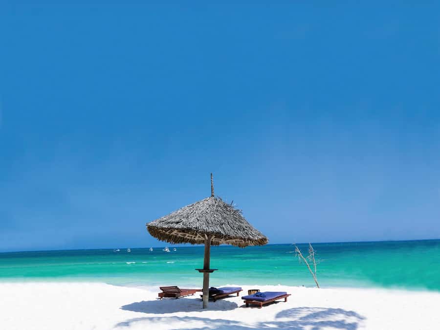 Swim with Sea Turtles, Kuza Cave, Paje Beach, The Rock Lunch - The possible Kizimkazi dolphin trip