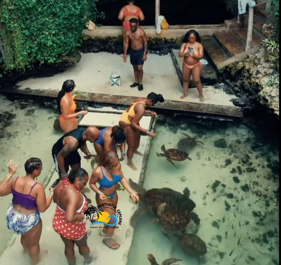 Swim with Turtles at The Lagoons Zanzibar & Stone Town Tour - The drive north to The Lagoons Zanzibar