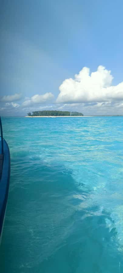 Swimming with tirltes at The Lagoons Zanzibar in Nungwi - Key things to know before swimming