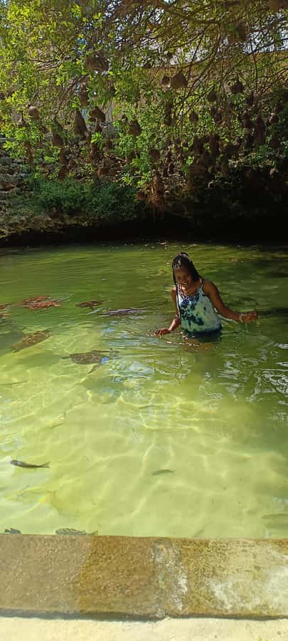 Swimming with tirltes at The Lagoons Zanzibar in Nungwi - Transport, packing, and practical details