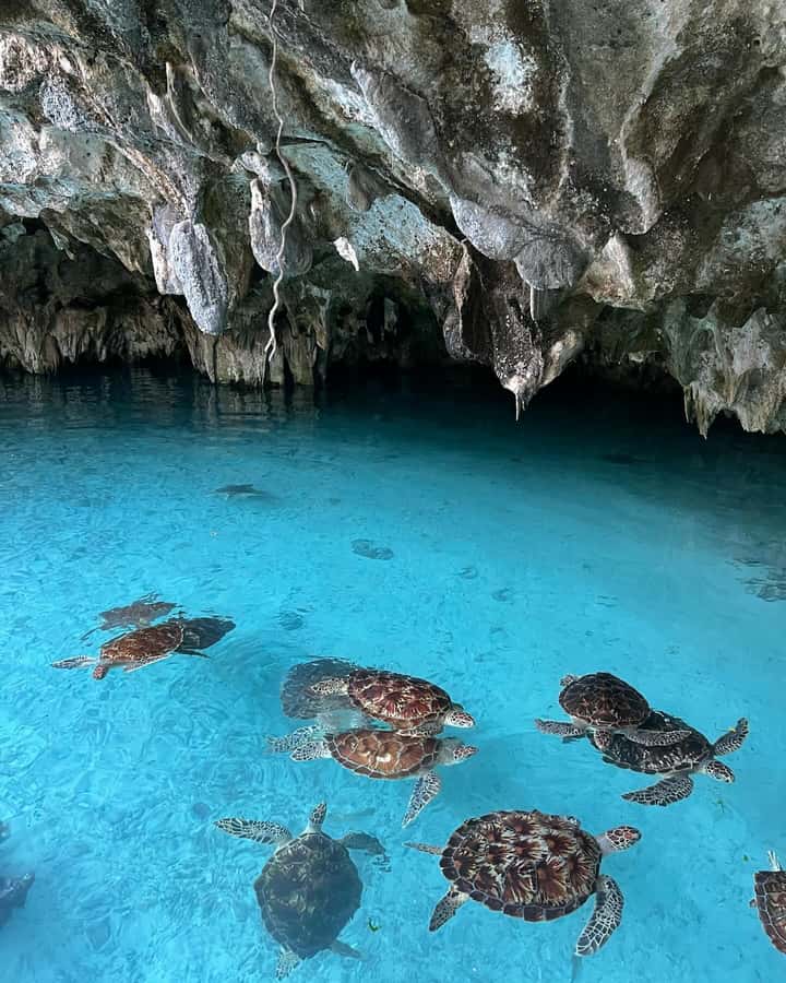 SWIMMING WITH TURTLES AT SALAAM CAVE AT KIZIMKAZI ZANZIBAR - How long do you really spend in the cave?