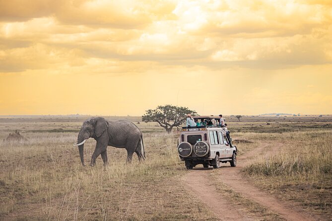 Tanzania Classic - 7 Days - Day 2: Lake Manyara’s lake, plains, and woodland
