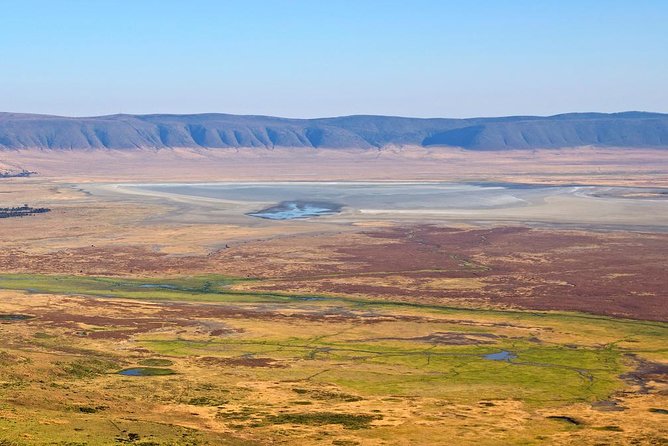 Tanzania Classic - 7 Days - Day 5: One last Serengeti morning, then Ngorongoro