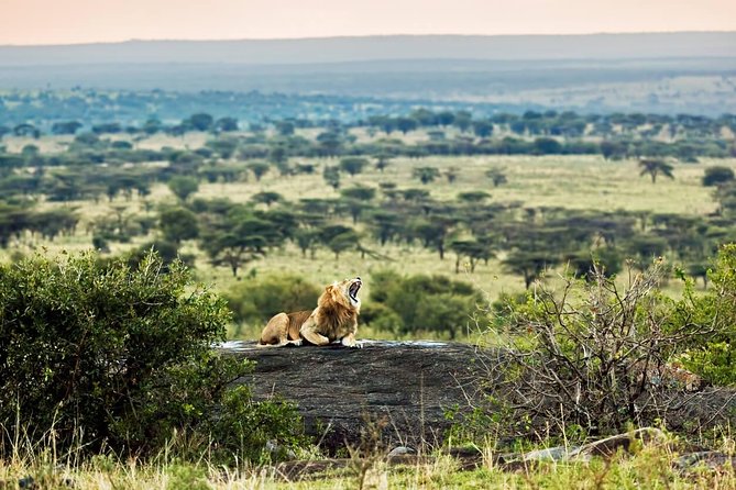 Tanzania Classic - 7 Days - What the $3,913 price covers