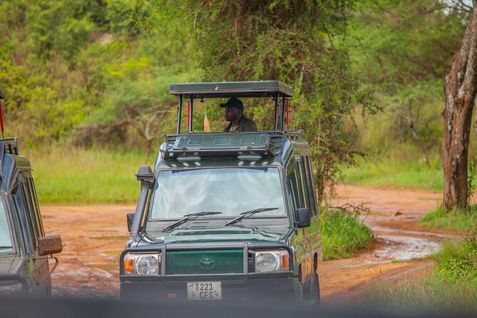 Tanzania Classic Safari 3 Days / 2 Nights - Day one: Tarangire’s elephants and baobabs