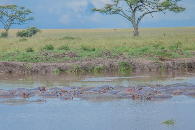 Tanzania Classic Safari 3 Days / 2 Nights - Vehicle, meals, and hotel expectations