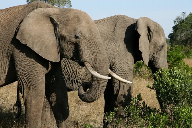 Tanzania Classic Safari 3 Days / 2 Nights - Is $1,722.06 a fair price?