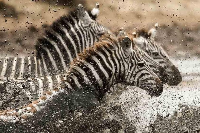 Tanzania Classic Safari - 7 Days - Three Serengeti days give the safari its real weight