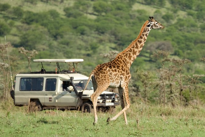 Tanzania Classic Safari - 7 Days - Tarangire pairs elephants with baobab country