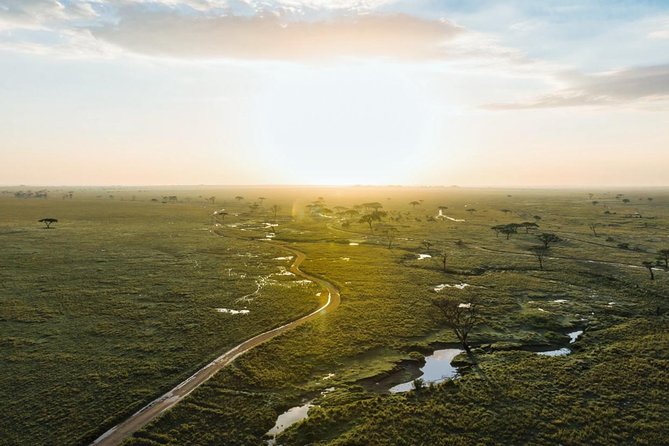Tanzania Enticing Explorations - 6 Days - Day 5: Down into the Ngorongoro Crater
