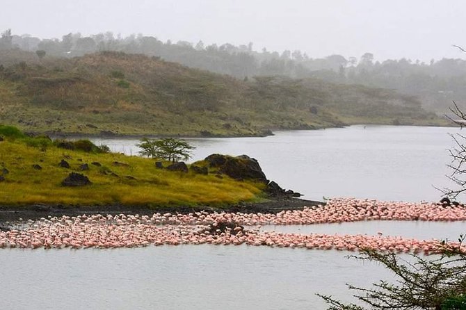 Tanzania Safari Join Group - Is the $1,538 price good value?
