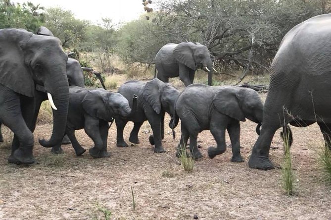 Tanzania safari with guide in Italian, the great Migration of the Serengeti - Lake Natron and the volcanic country near Ol Doinyo Lengai