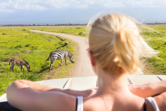 Tanzania Simba Safari - 5 Days - Day five: the Ngorongoro Crater finale