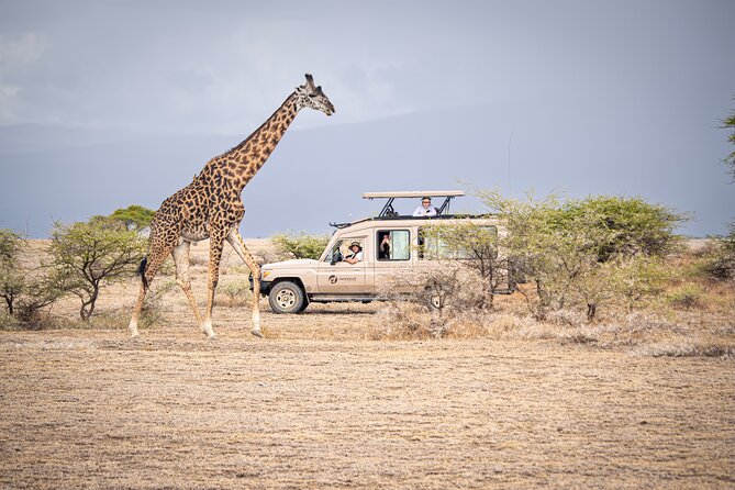 Tanzania Simba Safari - 5 Days - Day two: the seven-hour drive to Serengeti National Park