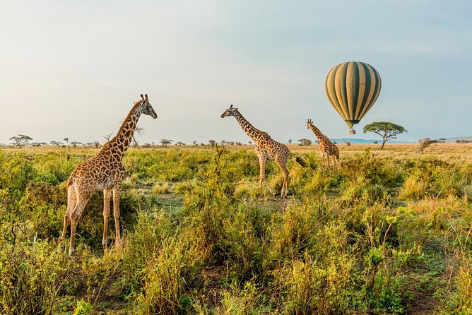 Tanzania Through The Rift Valley - 5 Days - Day 2: Lake Manyara brings forest, plains, and water together