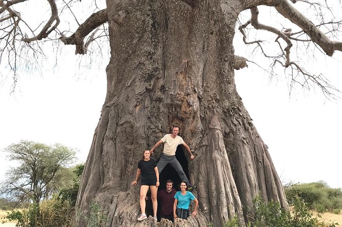 Tanzania Trip Amazing Tarangire Ngorongoro and Manyara - Materuni Waterfalls changes the final day