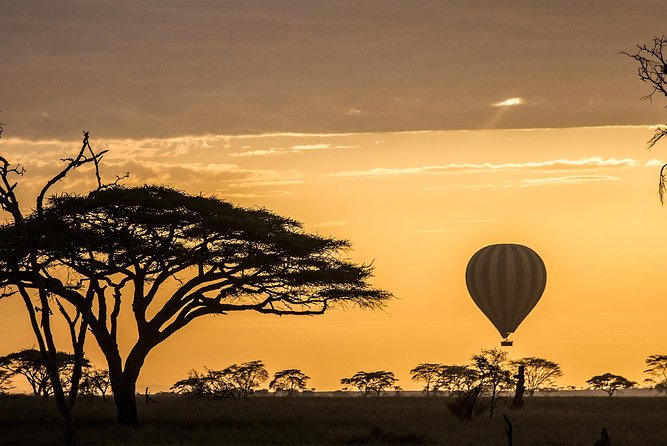 Tanzania wildlife & Cultural Safari- 11days - Key points to know before booking