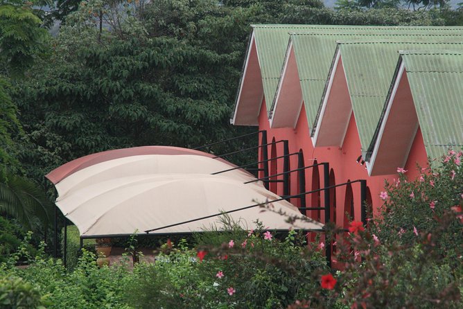 Tanzania wildlife & Cultural Safari- 11days - Why this northern Tanzania route works